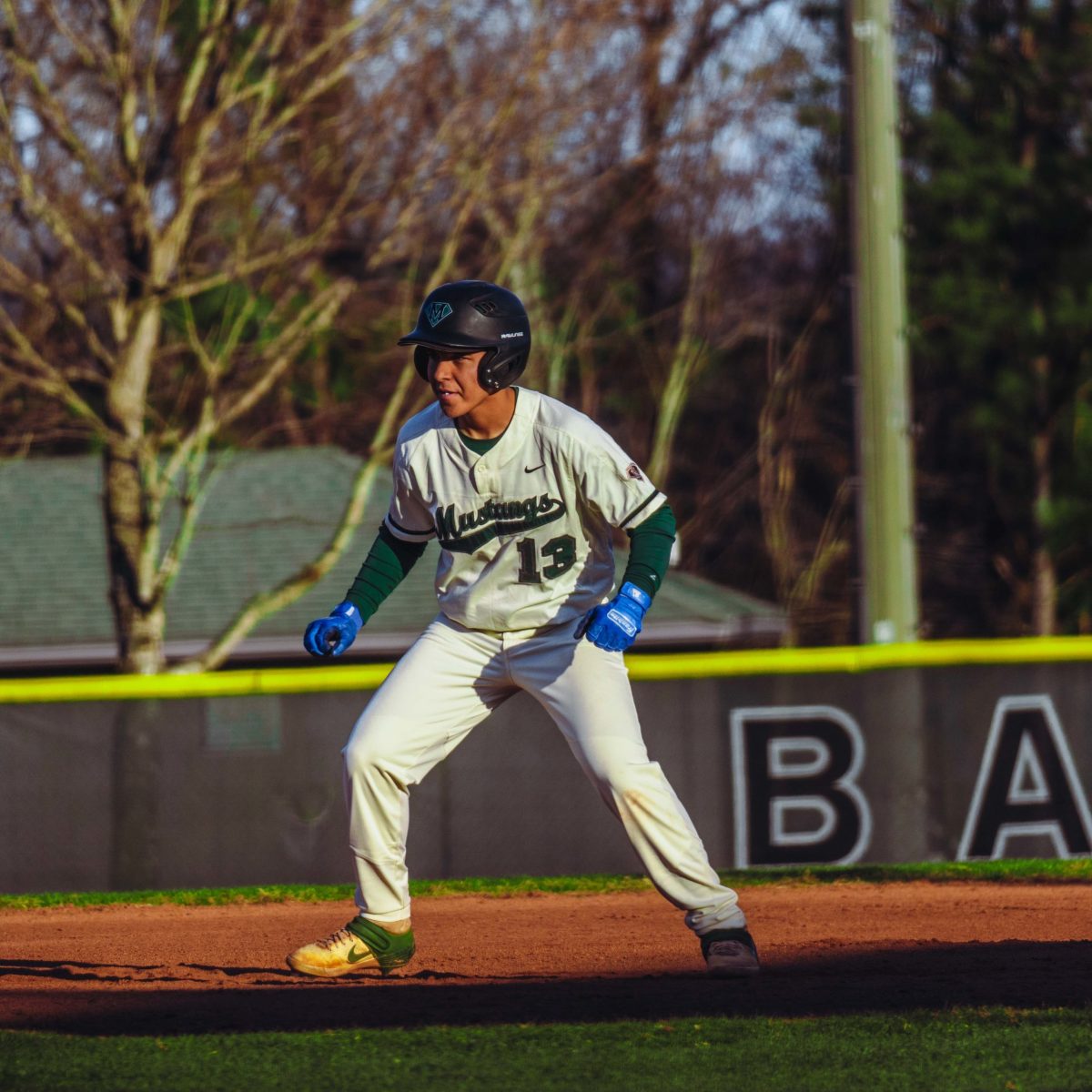 Willie_Prince_Kennesaw_Mountain_baseball.35